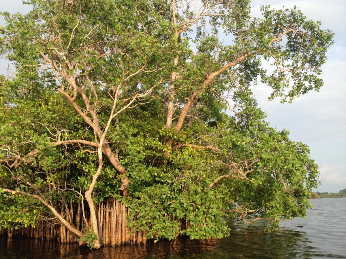 Lake Life Villa Ambalangoda  Buitenkant foto
