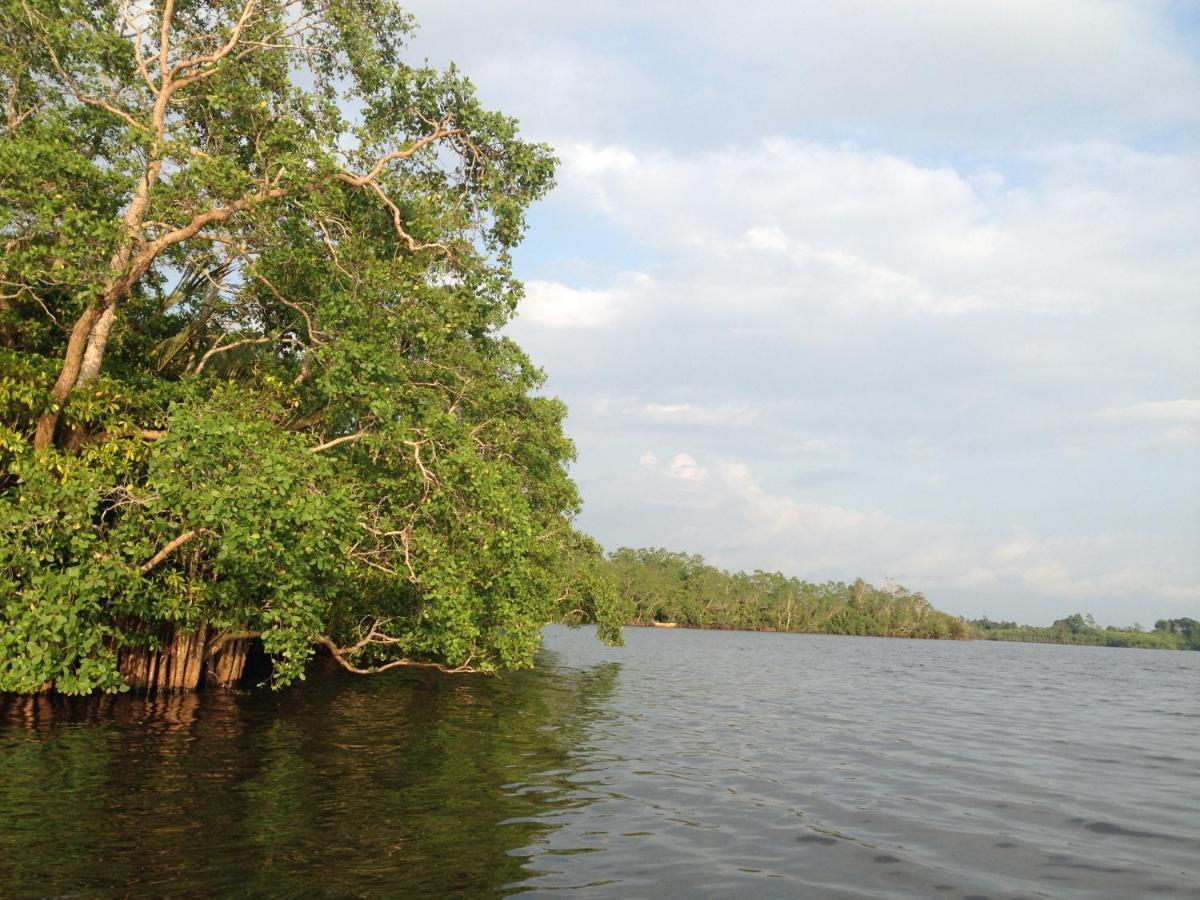 Lake Life Villa Ambalangoda  Buitenkant foto