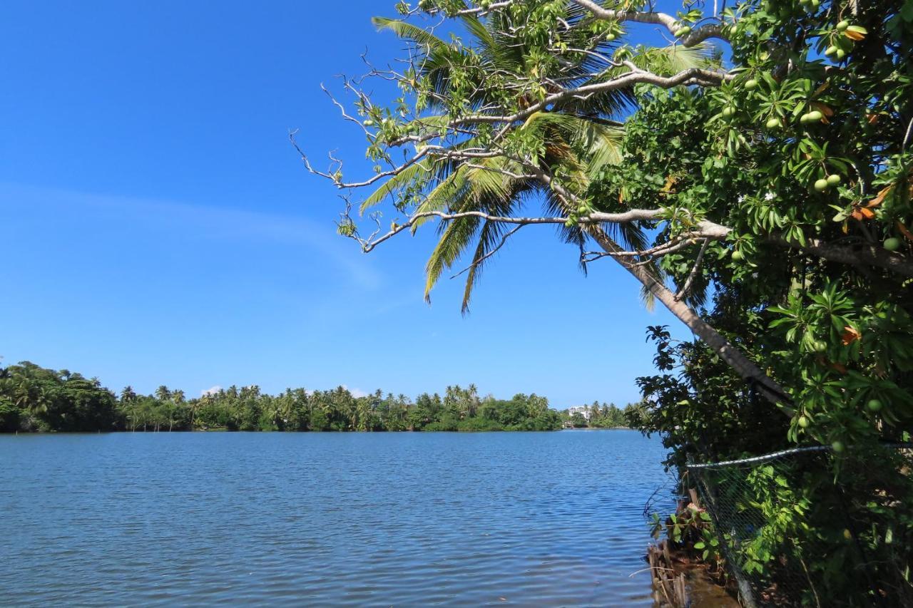 Lake Life Villa Ambalangoda  Buitenkant foto